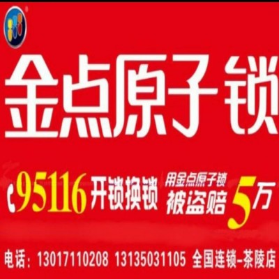 换锁芯选什么好呢？金点原子锁怎么样