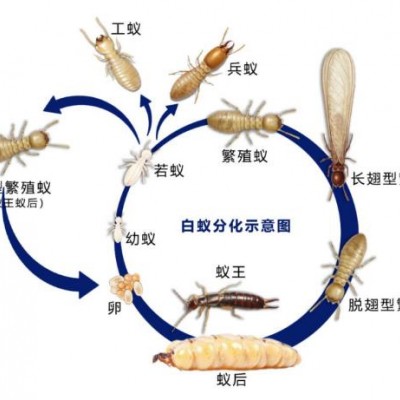 商场消杀过程中有什么需要注意的吗