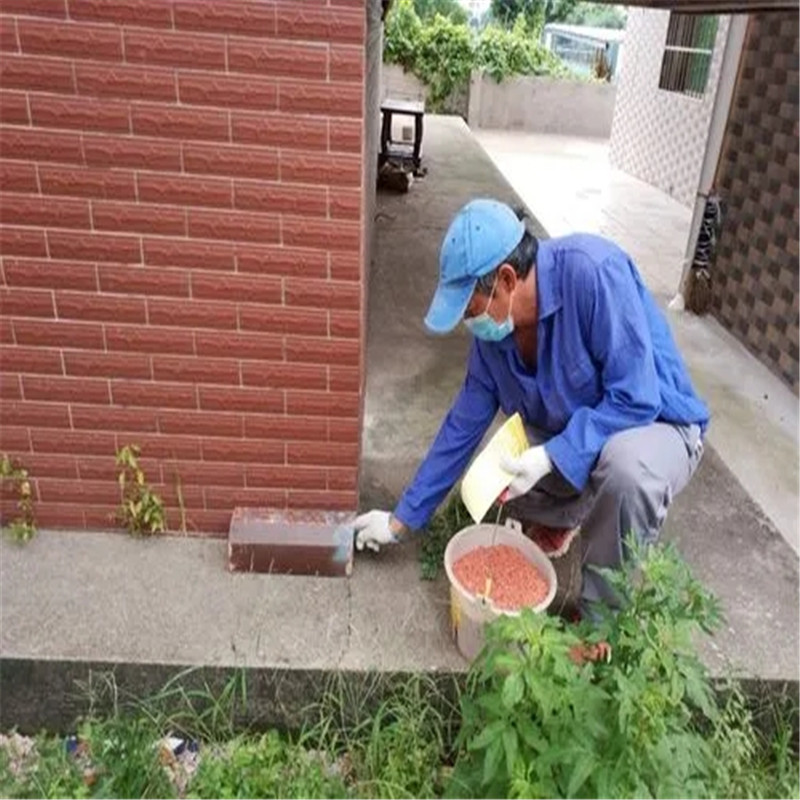 掌握灭鼠技巧，让廊坊无鼠困扰-- 廊坊市清波环保科技公司