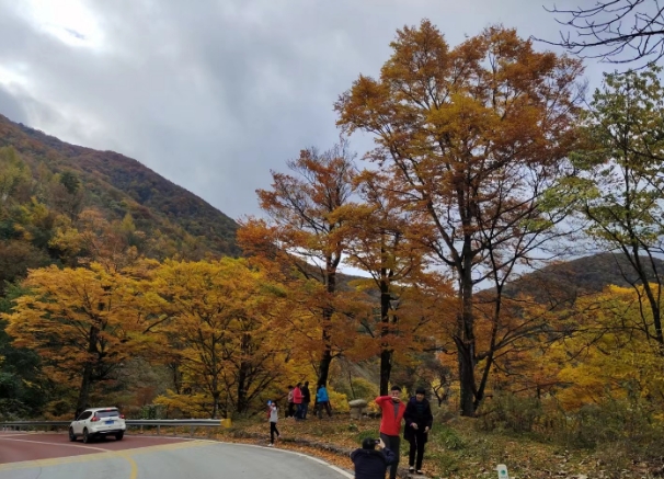 神农架包车在哪里找师傅靠谱