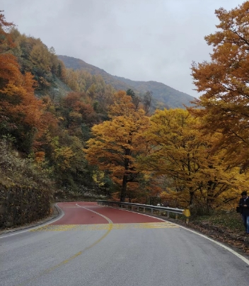 神龙架旅游包车打您领略神农架的春夏秋冬