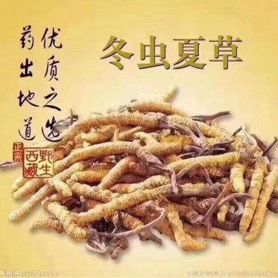 济南冬虫夏草回收提供专业的潍坊烟酒