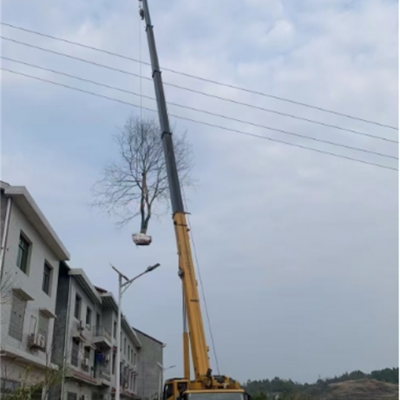 你知道高空车在哪些行业中的应用比较