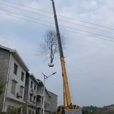 吊车的交付时间是如何确定的，能否按时到达指定地点？