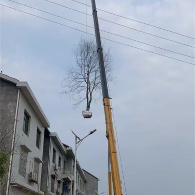 邻水县租吊车用于桥梁建设，有专业操