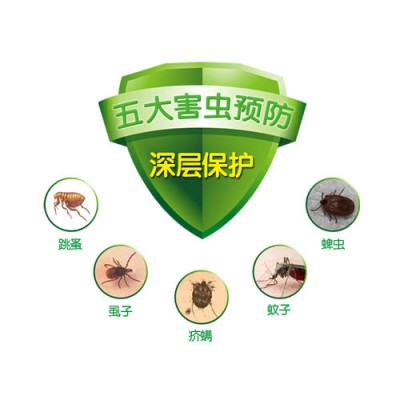 珠海灭蚊蝇 夏秋季重点是蚊蝇防治